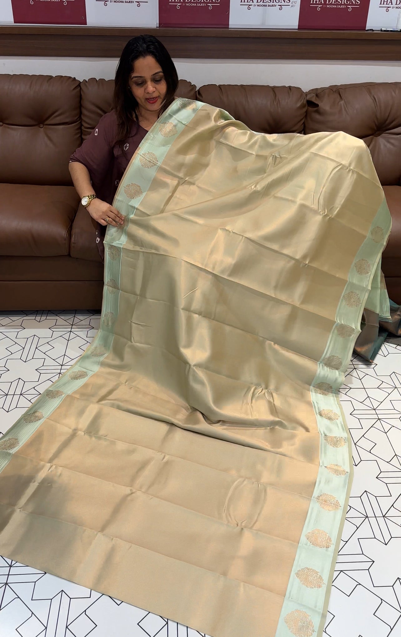 BUDGET BUY TISSUE SAREES - IHA 16100