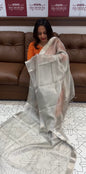 DESIGNER TISSUE SAREE - IHA 16696