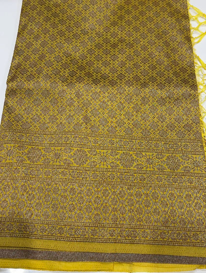 SEMI KATAN SAREE - IHA 19116